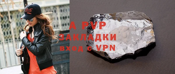 сатива Туринск