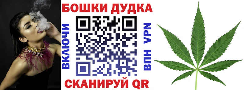 Бошки Шишки Amnesia  Конаково 